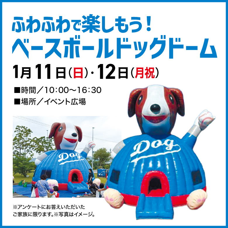 ふわふわベースボールドッグドーム