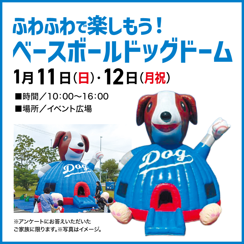 ふわふわベースボールドッグドーム