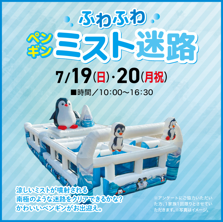 ふわふわミスト迷路